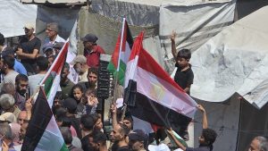 آلاف الفلسطينيين في غزة يهتفون للمبادرة المصرية: كفى عدوانًا ودمارًا - 15 - سيناء الإخبارية