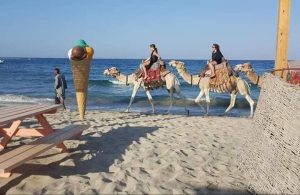 مرسى علم.. مالديف مصر التي تخطف أنفاس السياح بين محميات طبيعية وسحر الأعماق - 11 - سيناء الإخبارية