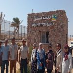 البيئة تطلق حملة موسعة للتخلص من المخلفات الصلبة بمحمية نبق جنوب سيناء - 1 - سيناء الإخبارية