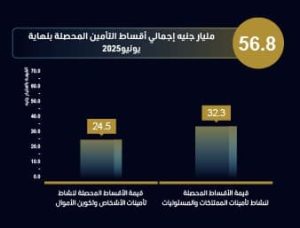 الرقابة المالية: التمويل والأنشطة التأمينية تتجاوز 640 مليار جنيه بنهاية يونيو 2025 - 5 - سيناء الإخبارية