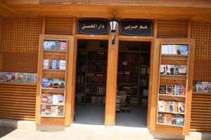 وزير الإسكان ومحافظ القاهرة يتابعان أعمال إحياء حديقة الأزبكية - 15 - سيناء الإخبارية