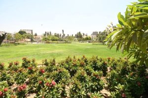 وزير الإسكان ومحافظ القاهرة يتابعان أعمال إحياء حديقة الأزبكية - 19 - سيناء الإخبارية
