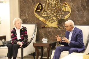 محافظ شمال سيناء يستقبل وفداً رفيع المستوى من مجموعة "الحكماء" - 35 - سيناء الإخبارية