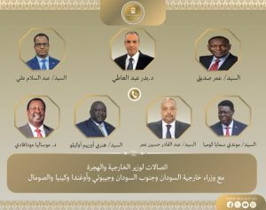 عبد العاطي يُعزز العلاقات الأفريقية ويؤكد على التعاون بمجالات الاقتصاد والأمن المائي - 1 - سيناء الإخبارية