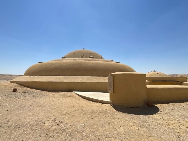 وادي الحيتان ومتحف الحفريات يثريان جولات ملتقى الفيوم للرسوم المتحركة - 15 - سيناء الإخبارية