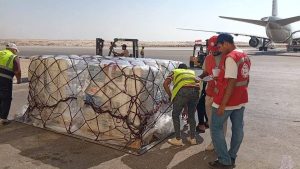 نائب محافظ شمال سيناء يستقبل السفير الباكستاني خلال وصول شحنة إغاثة لغزة - 3 - سيناء الإخبارية