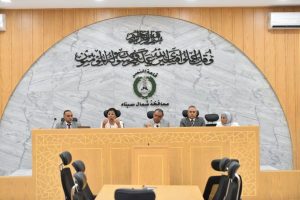 خطة عاجلة للصحة والسكان في شمال سيناء.. رفح والبرث في صدارة الأولويات - 3 - سيناء الإخبارية
