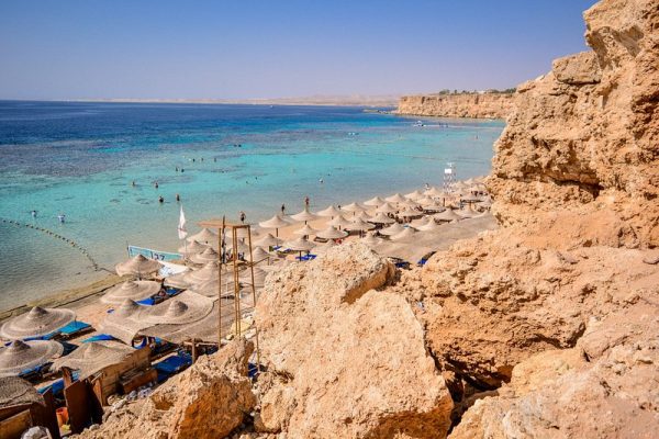 مجتمع دايف أن يجمع عشاق المحيط والاستكشاف|صور - 15 - سيناء الإخبارية