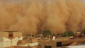 عاصفة "هابوب" تجتاح أريزونا وتشل الحياة في فينيكس - 17 - سيناء الإخبارية