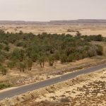 أمطار مفاجئة وسط حرارة شديدة في قرية جارة أم الصغير بسيوة - 1 - سيناء الإخبارية