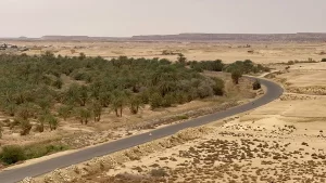 أمطار مفاجئة وسط حرارة شديدة في قرية جارة أم الصغير بسيوة - 3 - سيناء الإخبارية