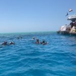 رحلات السنوركلنج.. بوابة السائحين إلى سحر أعماق البحر الأحمر بأبسط الوسائل - 1 - سيناء الإخبارية