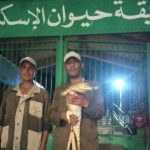 السيطرة على تمساح حي بشاطئ أبوتلات ونقله إلى حديقة الحيوان - 1 - سيناء الإخبارية