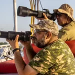 عودة الطائر الغائب منذ 122 عامًا.. الغاق الإفريقي يزين سماء أسوان من جديد - 1 - سيناء الإخبارية