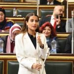 مصر تؤكد تمسكها بالحق الفلسطيني وترد بحزم على تصريحات نتنياهو - 19 - سيناء الإخبارية