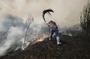 حرائق الغابات تواصل اجتياح أوروبا ونزوح الآلاف وسط موجة حرارة قياسية - 7 - سيناء الإخبارية