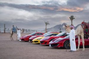 شرم الشيخ بين عمالقة السياحة العالمية: التايمز تضعها في المرتبة الثالثة - 17 - سيناء الإخبارية