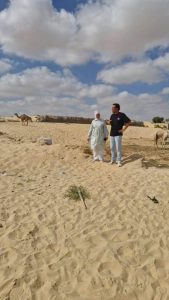 الطب البيطري في شمال سيناء يؤمّن مهرجان الهجن بالكشف الطبي ورعاية الجمال المشاركة - 7 - سيناء الإخبارية