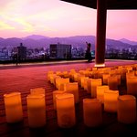 هيروشيما جرح الذاكرة الإنسانية - 13 - سيناء الإخبارية